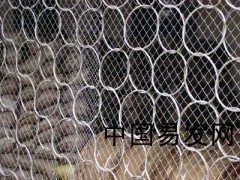 廠家直銷邊坡防護網、環(huán)形網_供應產品_安平縣川森金屬絲網制品_護欄網,防護網,復合立柱_中國易發(fā)網